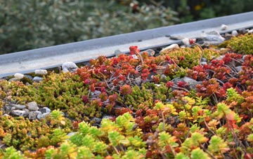 the cost of Goldsithney green roof installation