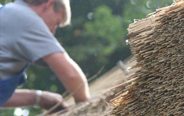 professional Goldsithney thatchers