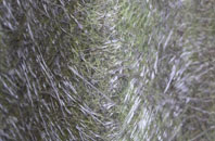 Goldsithney fibreglass roof work